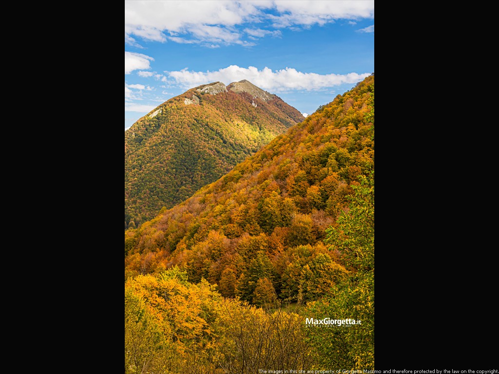 _B662820m