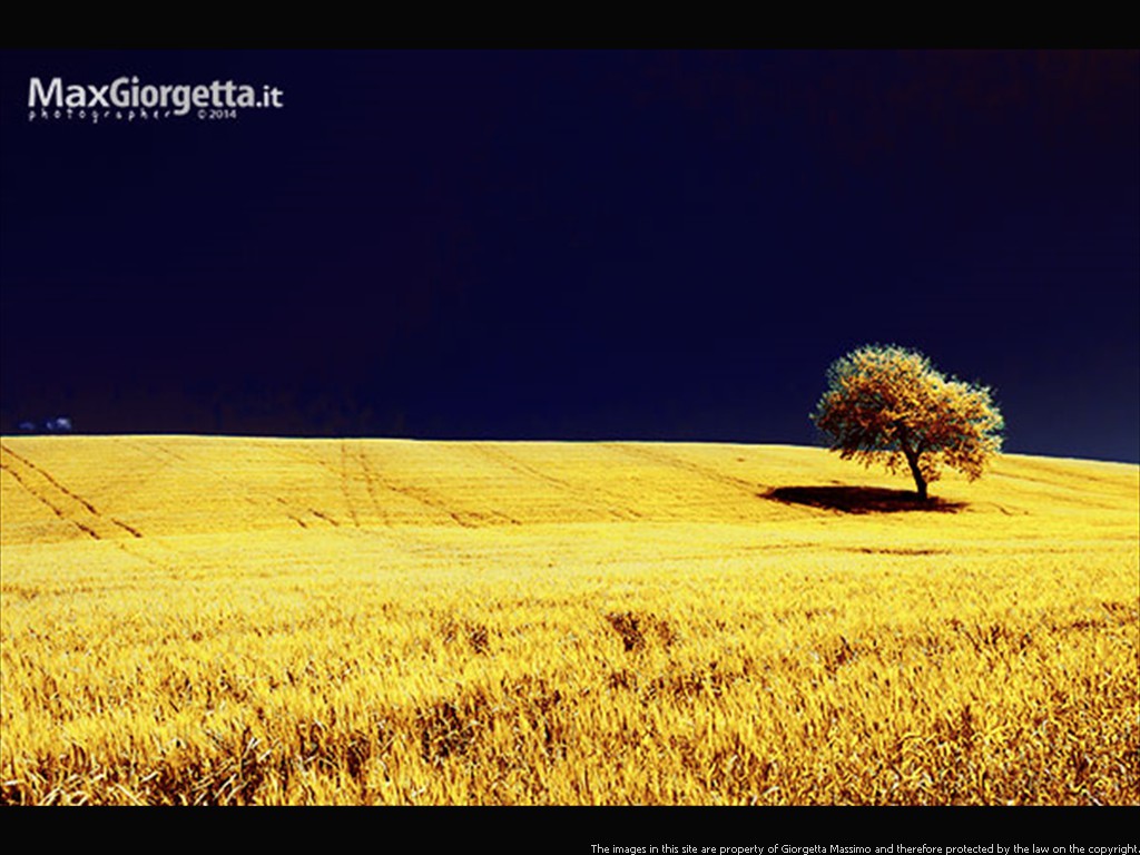 _D300688irr1