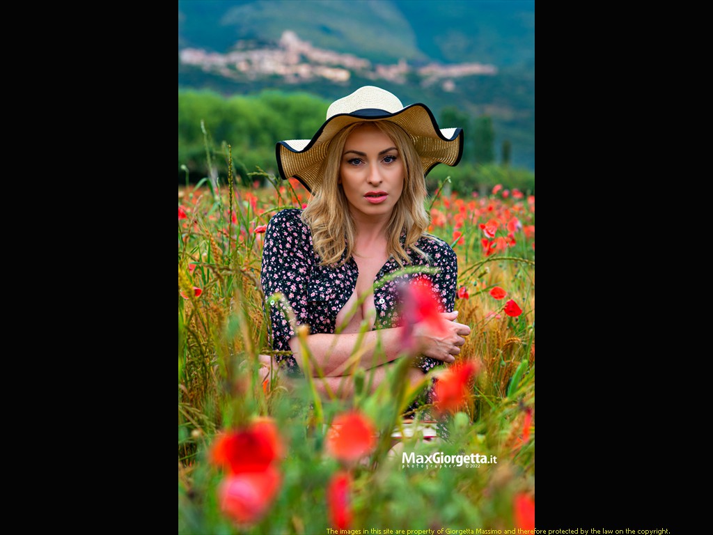 _D804372m