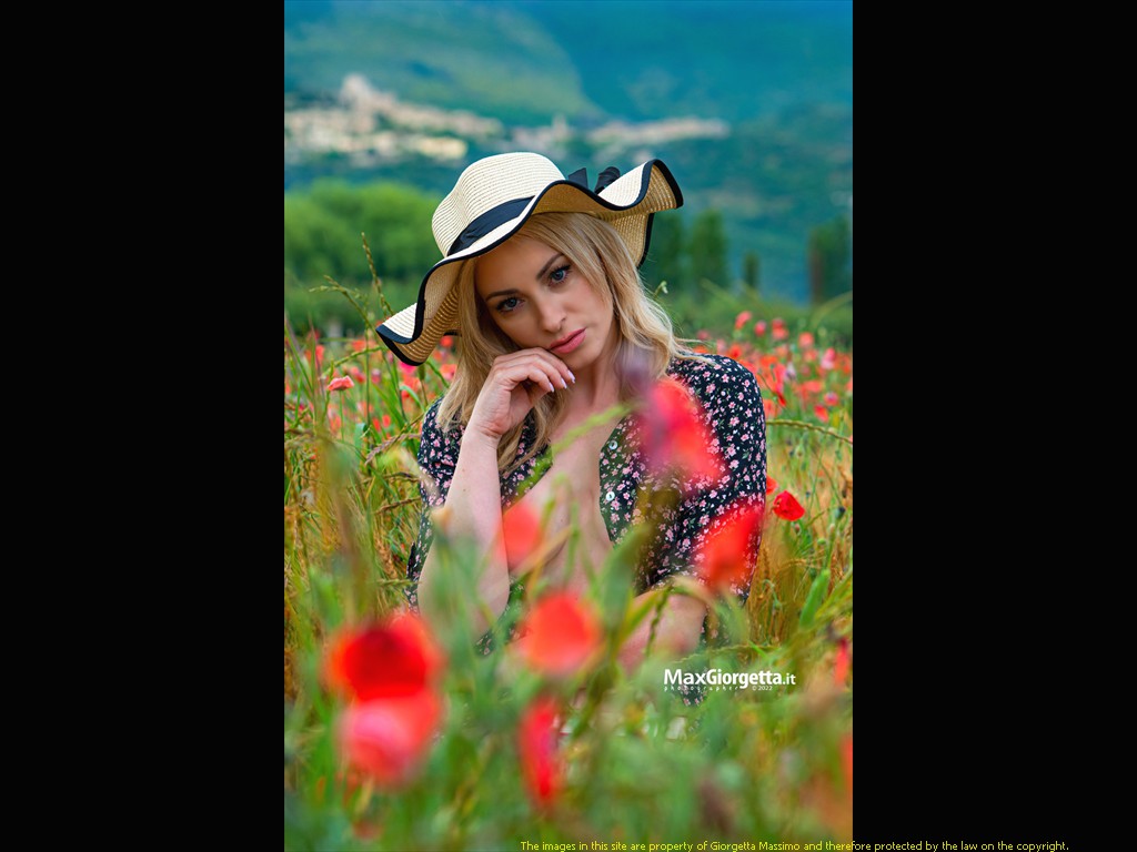 _D804374m