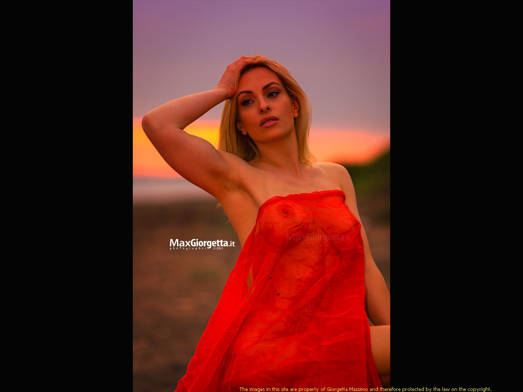 _D804733m