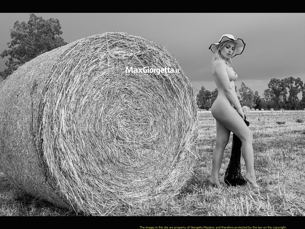 _D850994m