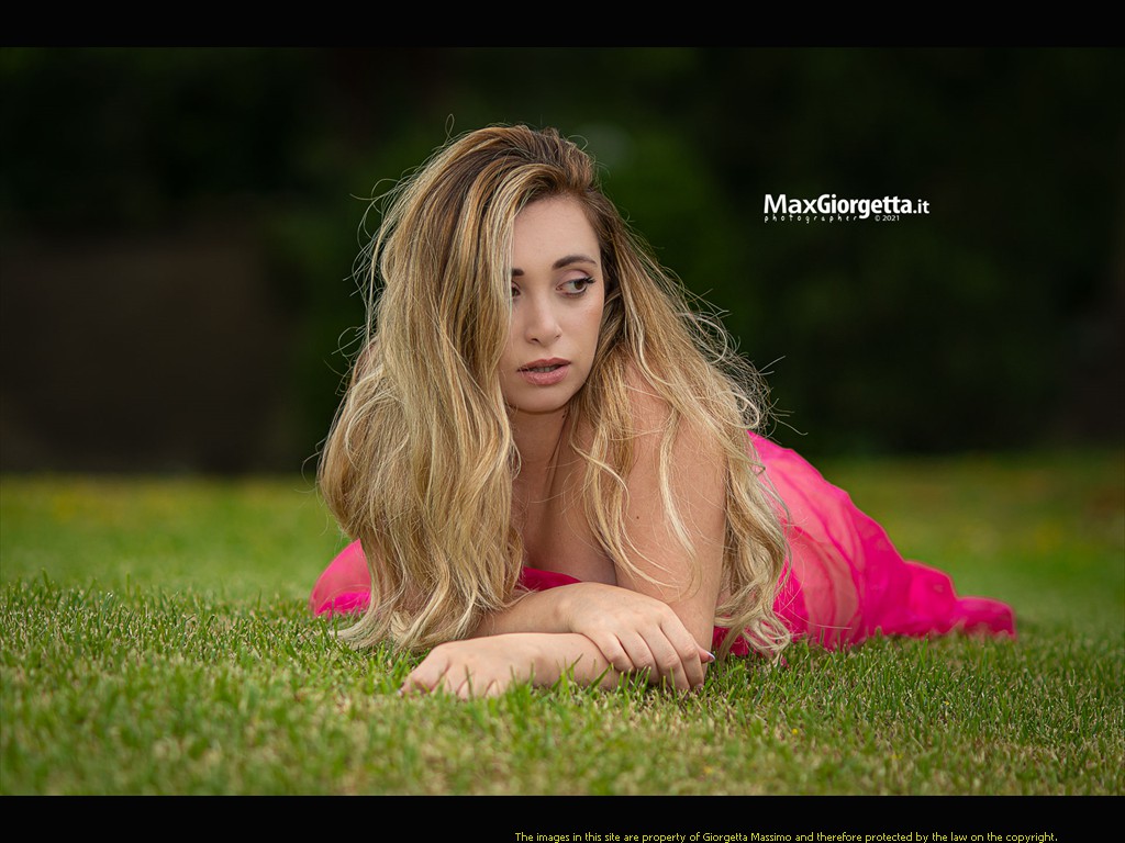 _D804124m