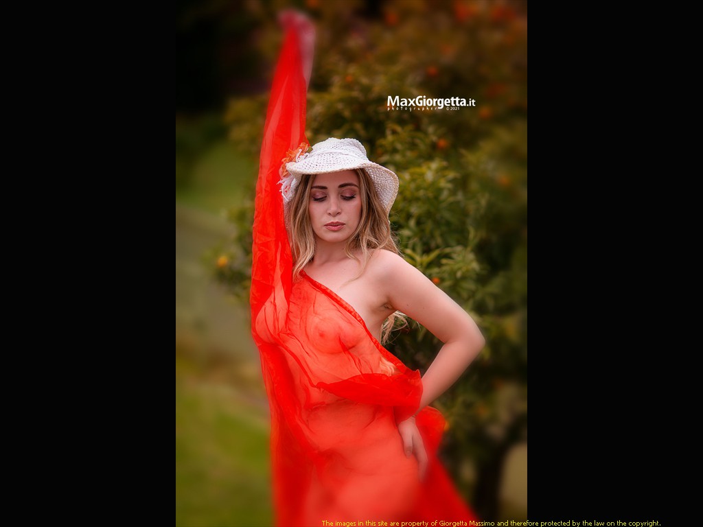 _D804194m