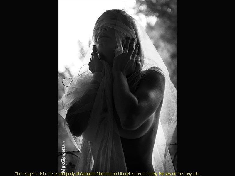_D808446r