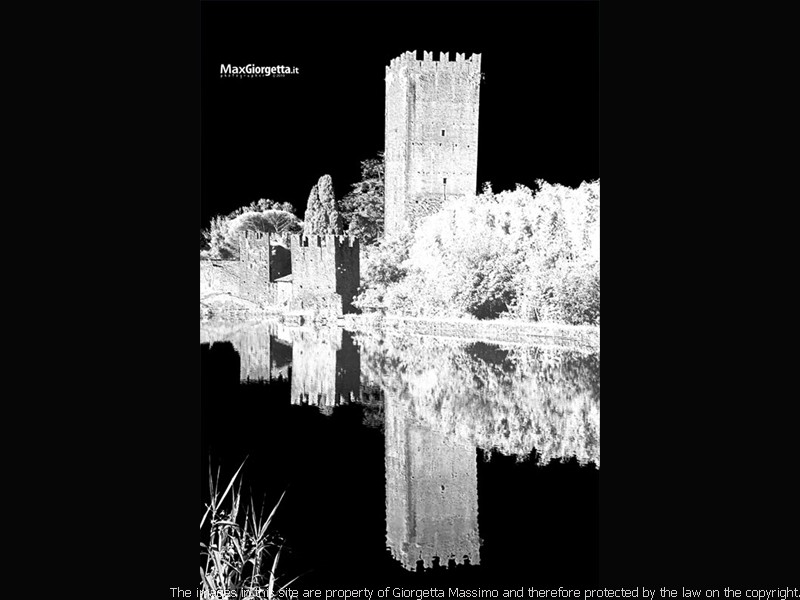 _M650803m