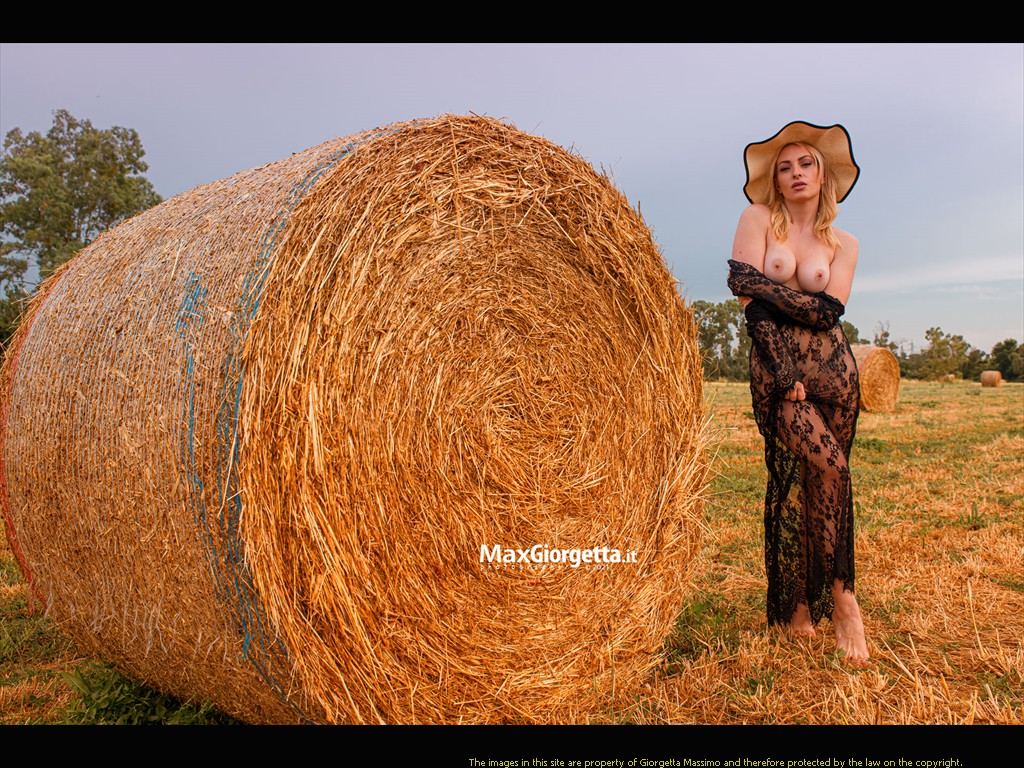 _D850975m