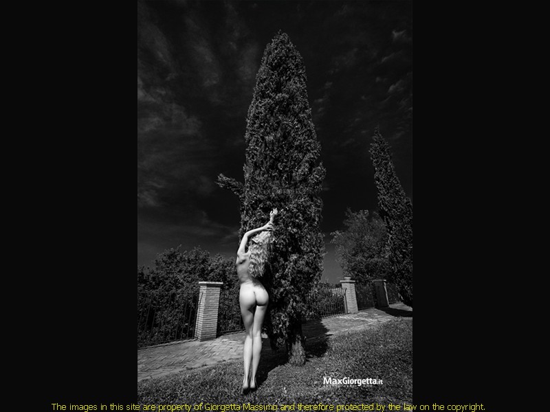 _D803428m