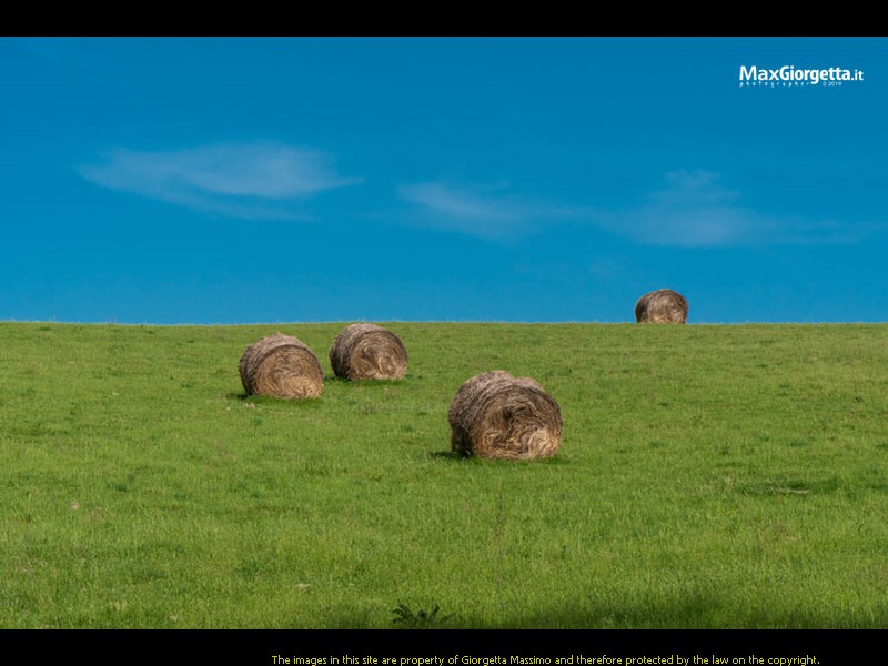 _M650268m