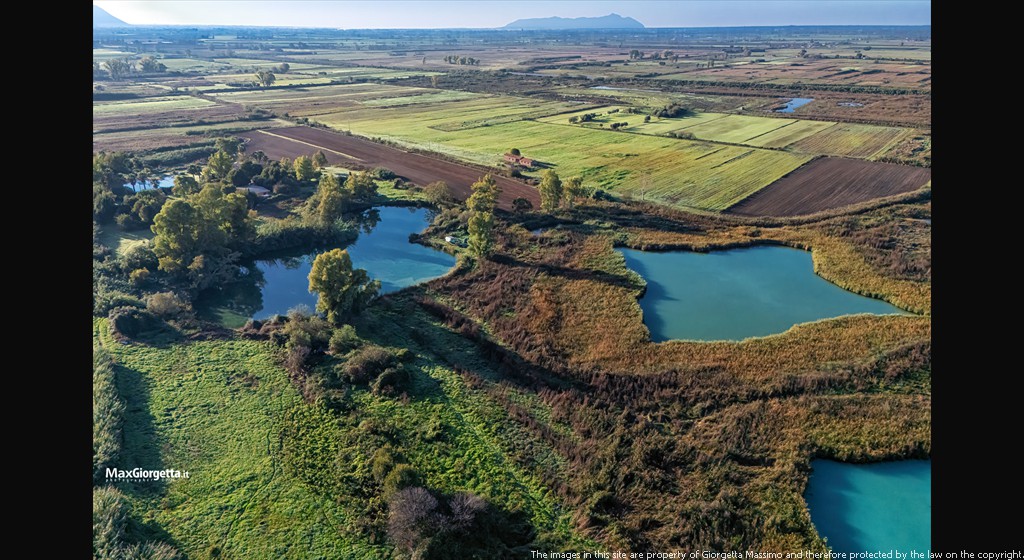 DJI_20241103081655_0002_Dm