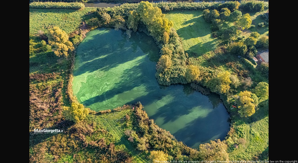 DJI_20241103082208_0012_Dm