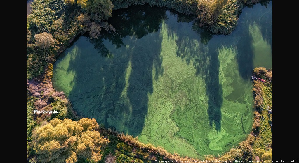 DJI_20241103083950_0032_Dm