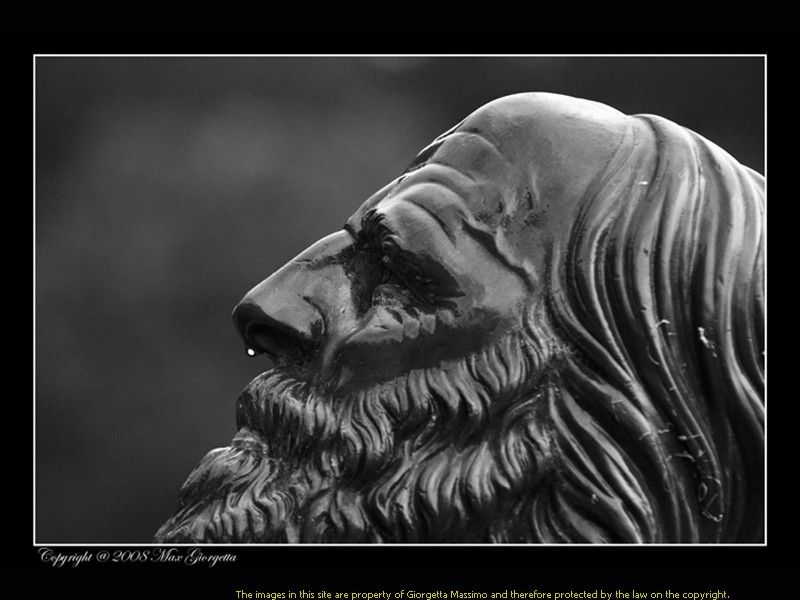_M106429