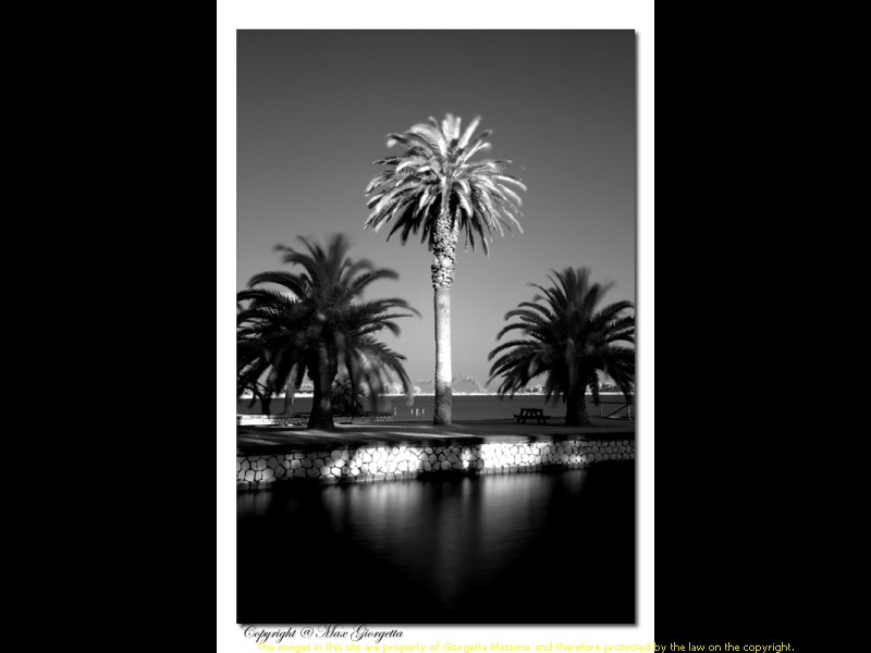 _BEW1186