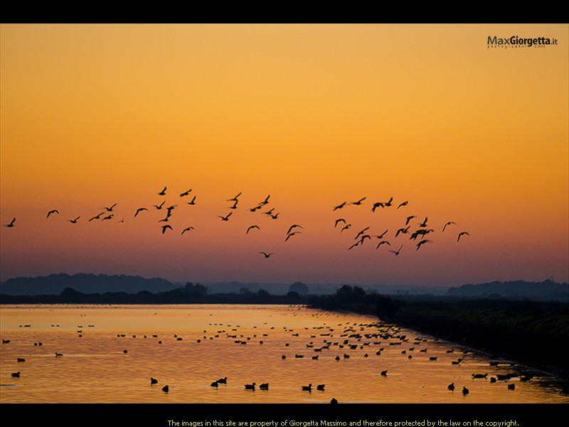_DSC0021m