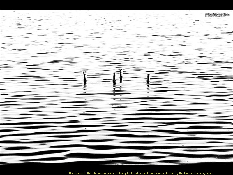 _DSC0721r