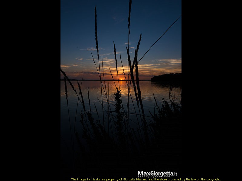_DSC0758r