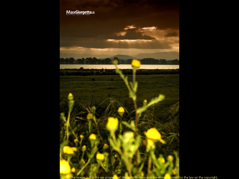 _M650300m