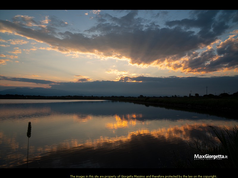_M650590m