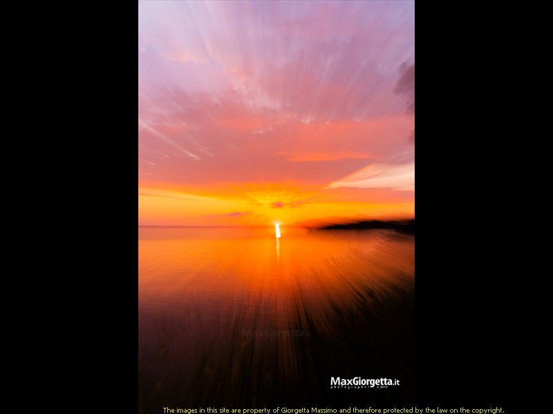 _M650663m