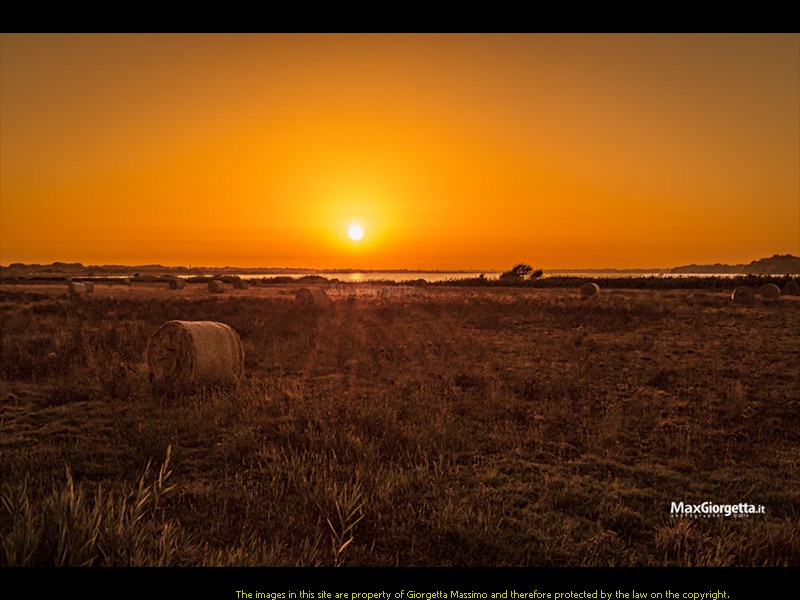 _M651641m