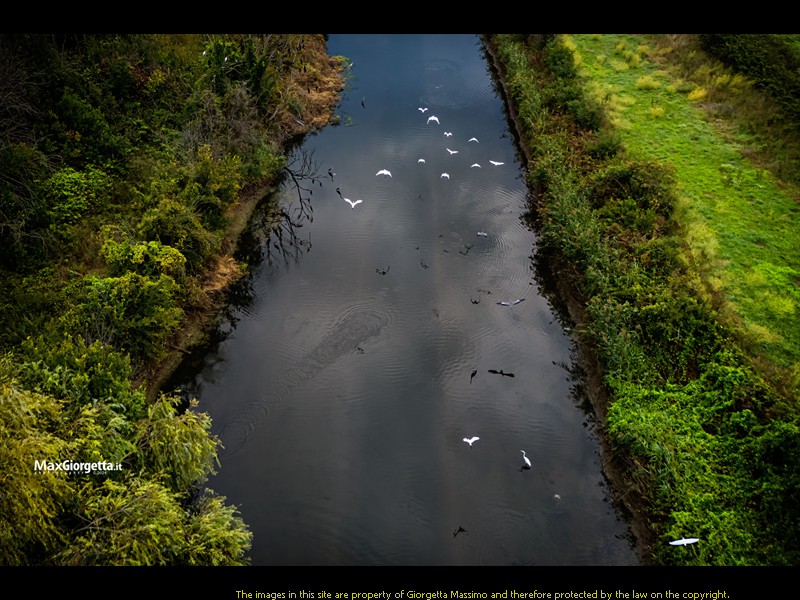 DJI_20240922081223_0013_Dm