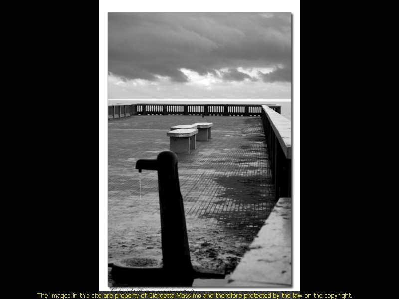_DSC0514