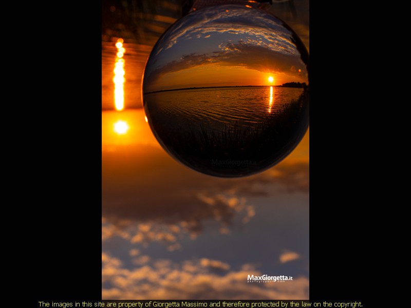 _M650649m