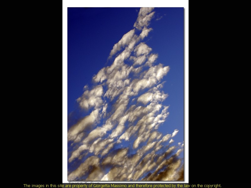 _MAX4097