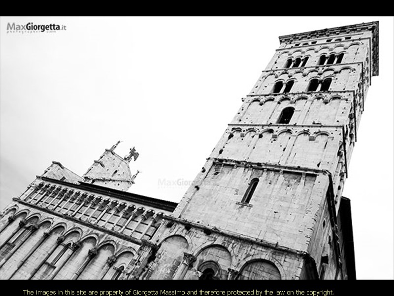 _DSC0248r