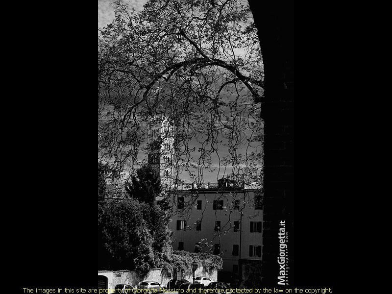 _DSC0275r
