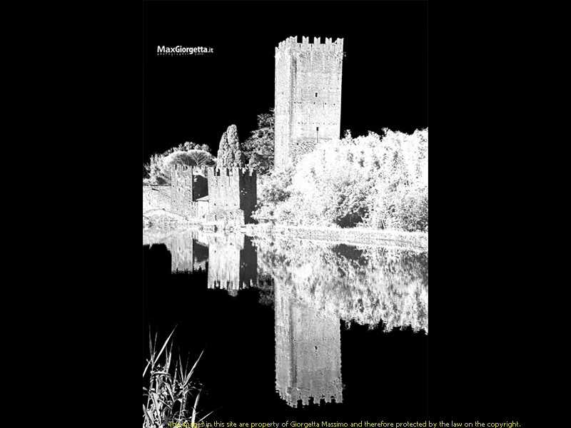 _M650803m