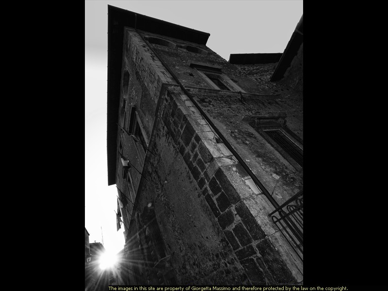 _D306858vn