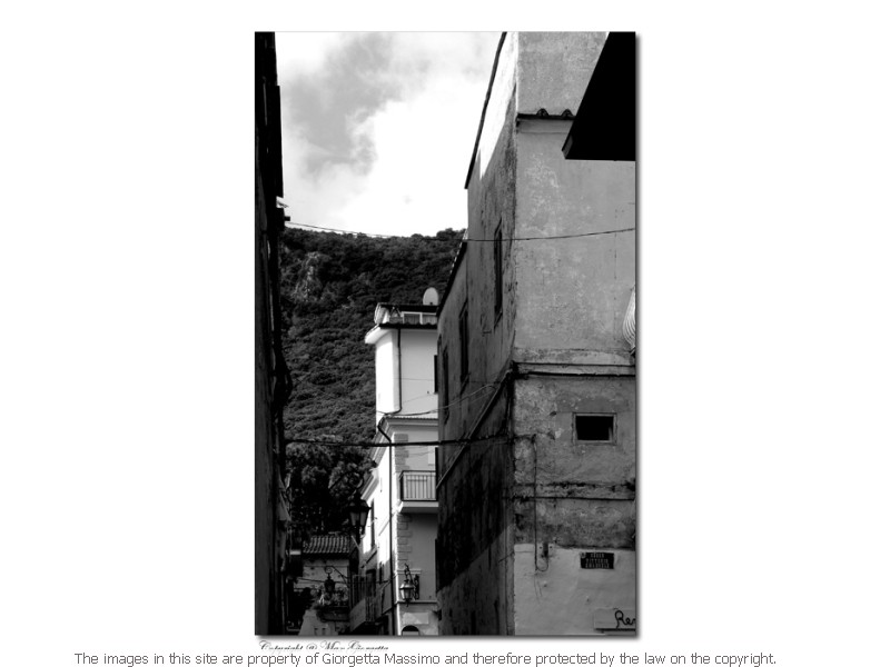 _DSC00217