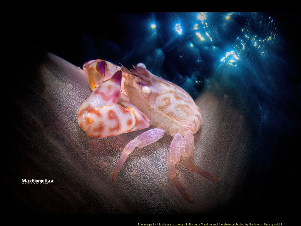 _D8E2369m