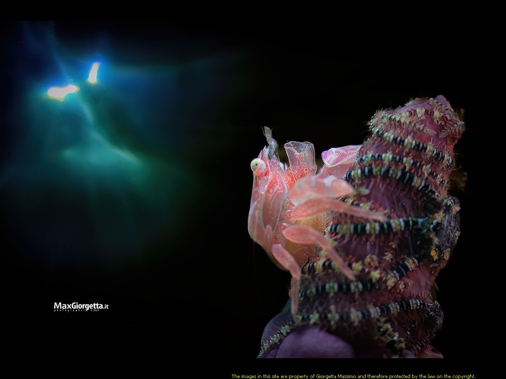 _D8E2379m