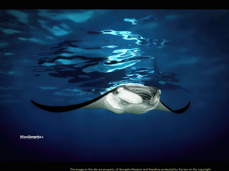 _D8E0891-22m