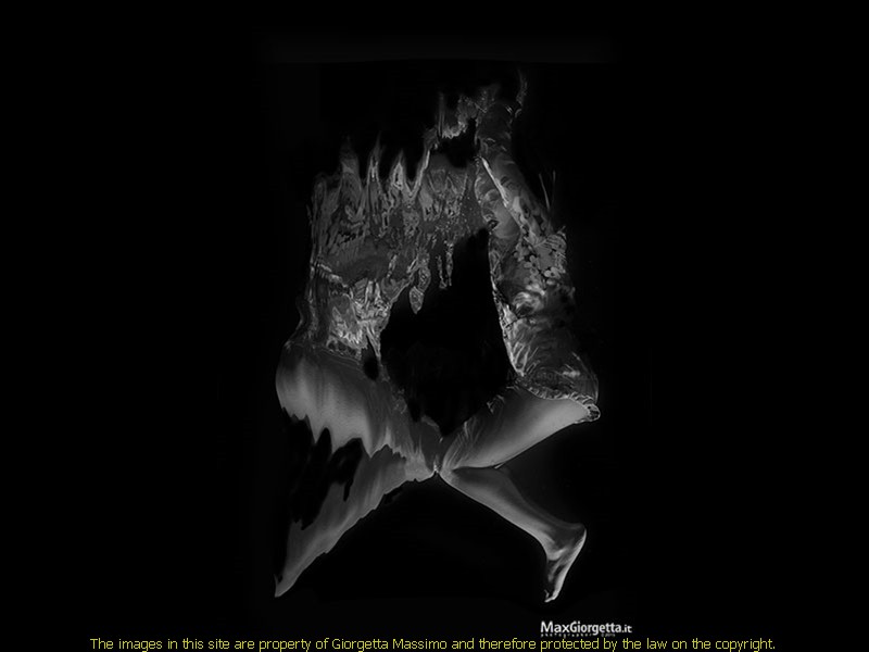 _R001357bwr